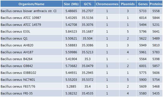 NCBI Genbank에 등록된 Bacillus cereus 유전체 정보 분석