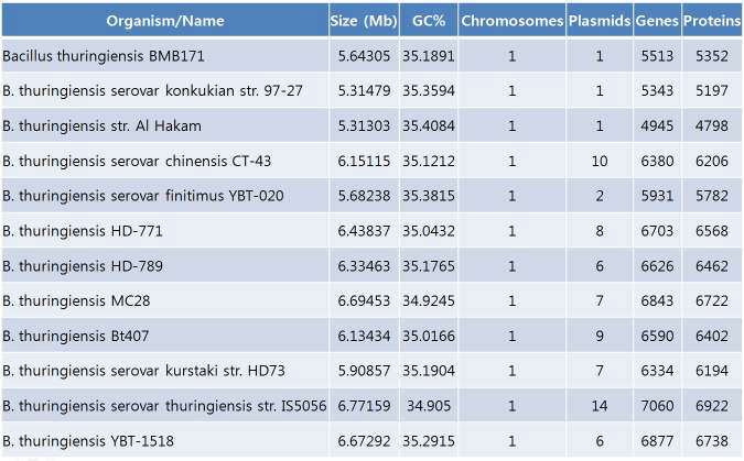 NCBI Genbank에 등록된 Bacillus thuringiensis 유전체 정보 분석