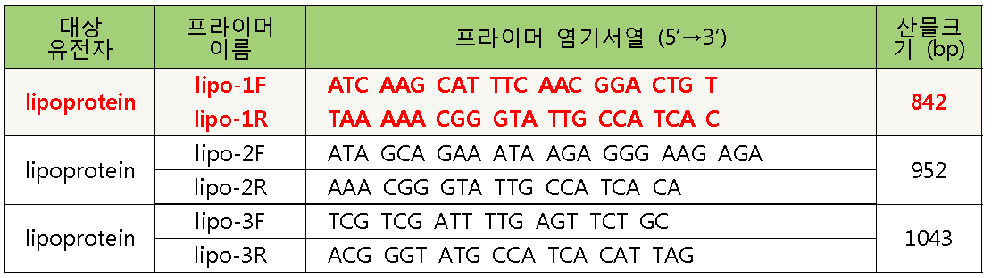 lipoprotein gene PCR primers.