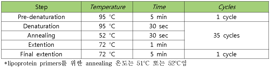 PCR condition