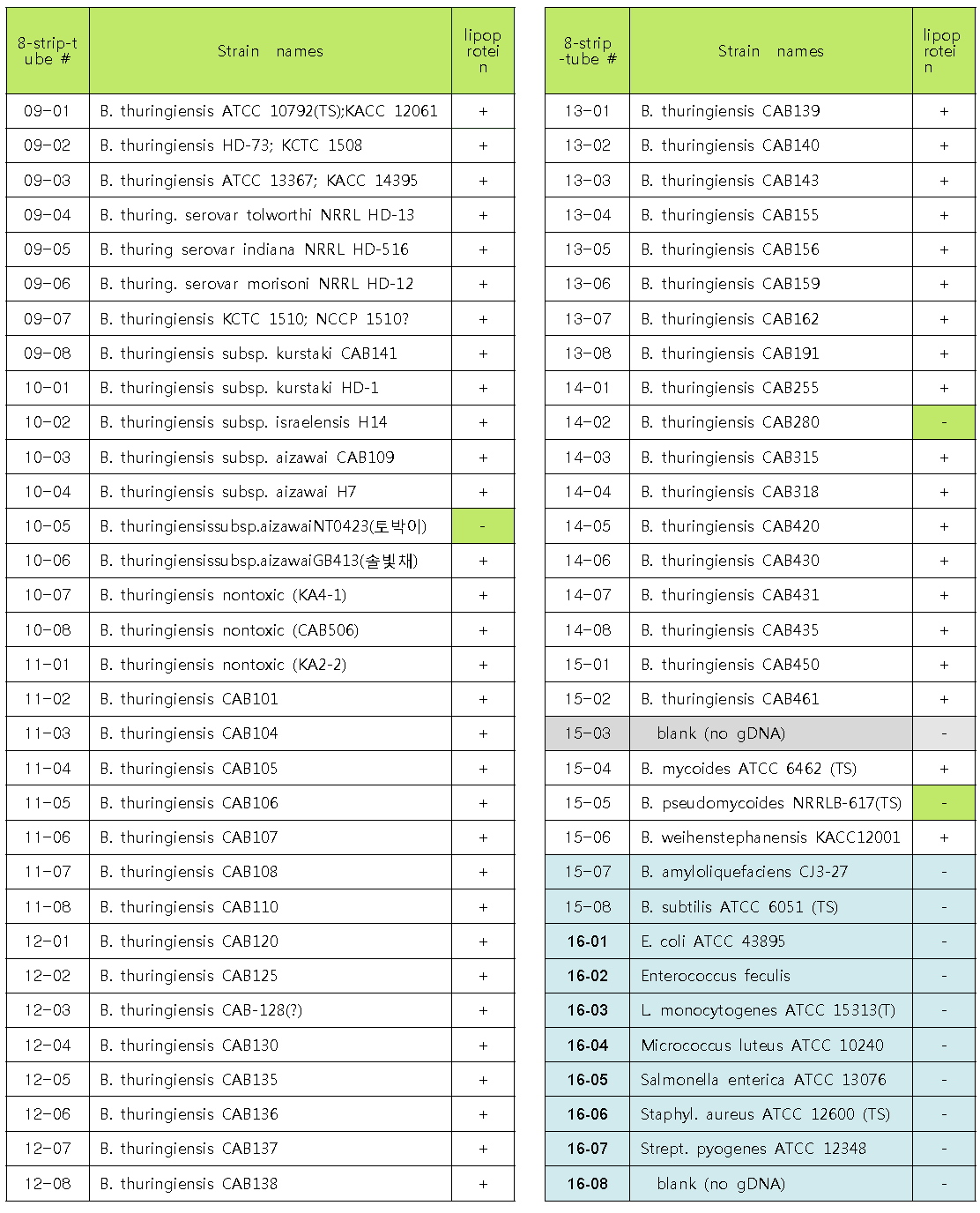 new lipoprotein primer: lipo-4의 PCR에 사용한 B. thuringiensis 균주 목록 및 결과