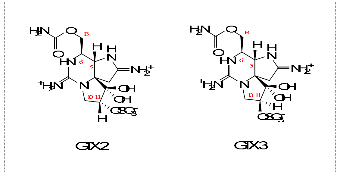 GTX 2 & 3 화학구조 차이에 따른 1H NMR chemical shift 차이.