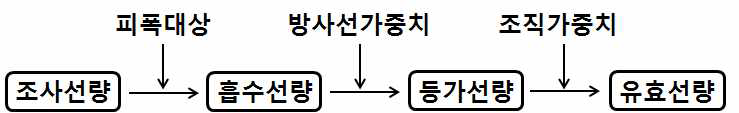 유효선량 평가 시 선량 계산 체계도