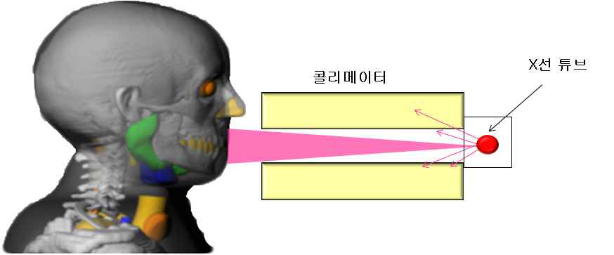 구내방사선검사 시 방사선 피폭 모사