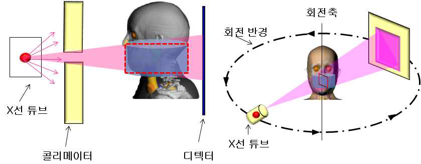 CBCT 검사의 방사선 피폭 모사