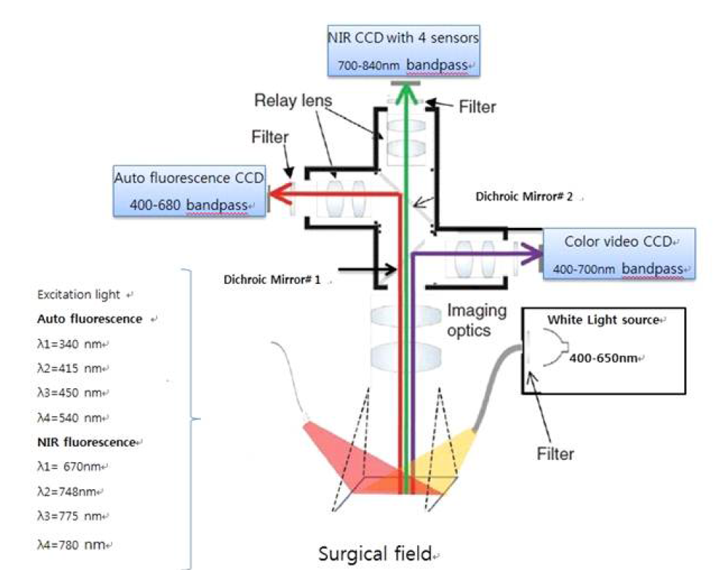 영상유도장치, 광의 경로 및 컬러 비디오카메라를 이용하는 여과 이미징 시스템, 2개의 독립적 동시동작 NIR 카메라(700nm 방출 800 nm 방출) D1= 680㎚는 다이크로익 미러