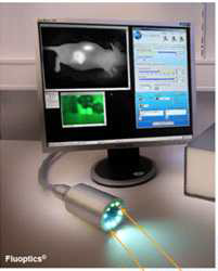 Fluoptics社의 FluobeamTM 이미지