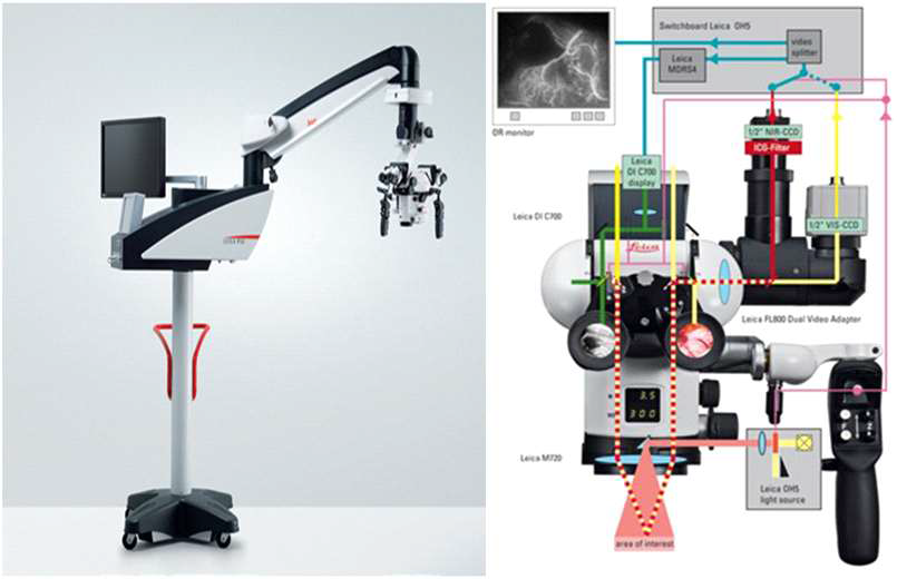 Leica microsystem社의 Leica FL800TM 이미지