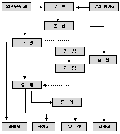 완제 의약품 제조공정