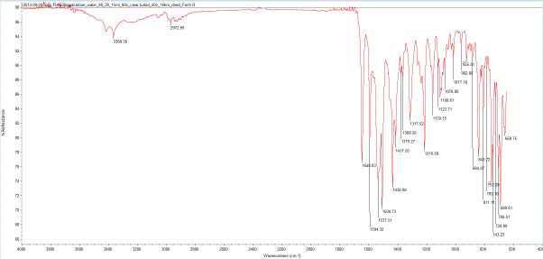 Form R FTIR spectrum