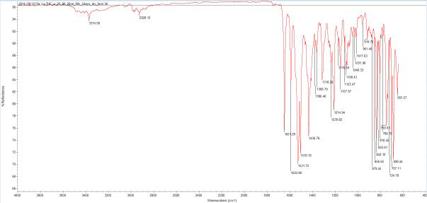 Form XII FTIR spectrum