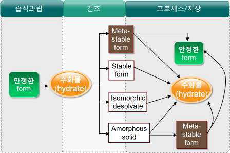 약물의 공정과정중의 수화물의 변화