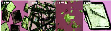 Donepezil forms I, II, C, F의 결정사진