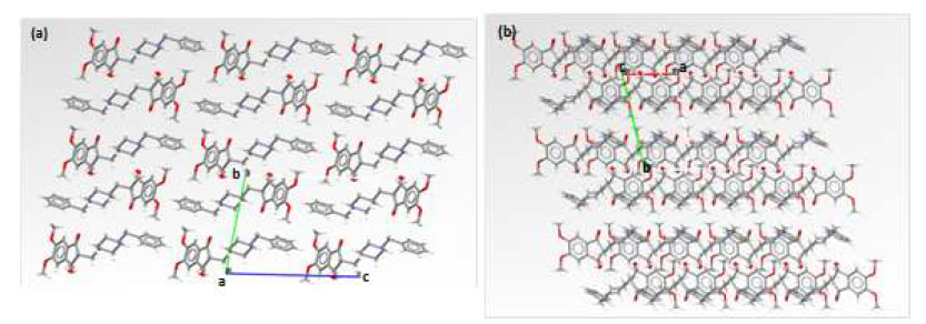 Crystal packing diagrams of donepezil form F (a) a view perpendicular to the bc plane and (b) a view perpendicular to the ab plane