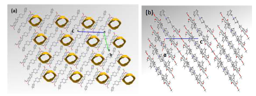 Crystal packing diagrams of donepezil form IV a) a view perpendicular to the bc plane and (b) a view perpendicular to the ac plane