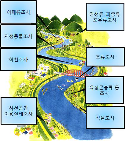 하천수변 국세조사 개요