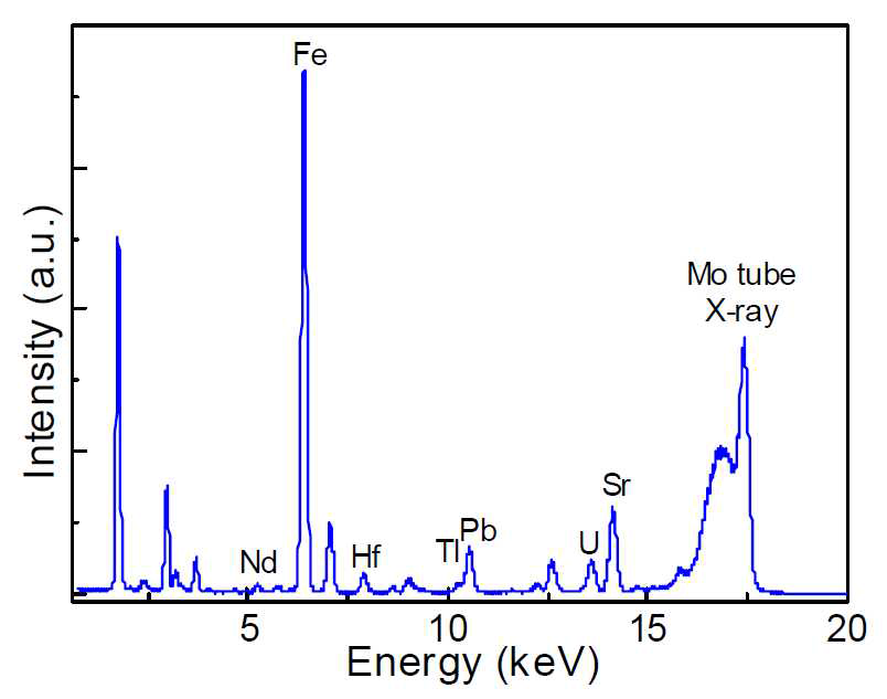 Neptune test 표준시료의 전반사 엑스선 형광분석 스펙트럼