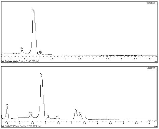 우라늄 표준시료가 장전된 필라멘트의 SEM-EDS 분석 결과.