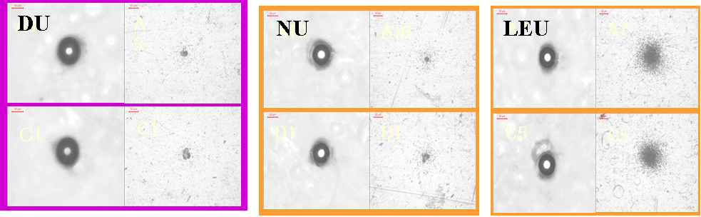 DU, NU, LEU 우라늄 입자에 대한 알파트랙 이미지