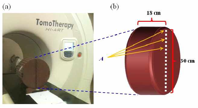 (a) Experimental setup for the dosimetric measurement of the imaging dose from MVCT. (b) The “cheese” phantom used for measuring the primary doses during the scans.