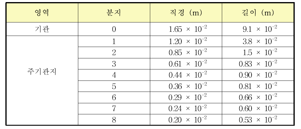 ICRP-66에서 제시하는 기관 및 기관지 분지의 형태학적 수치