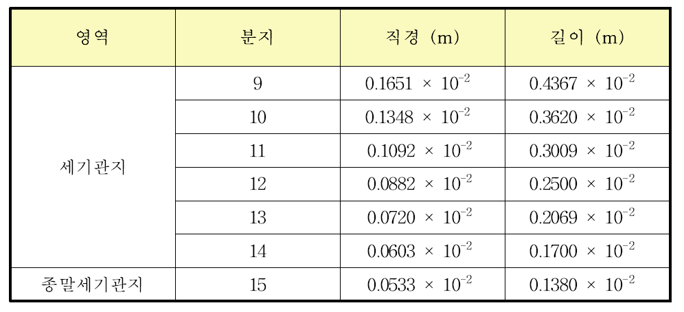 ICRP-66에서 제시하는 세기관지 및 종말세기관지 분지의 형태학적 수치