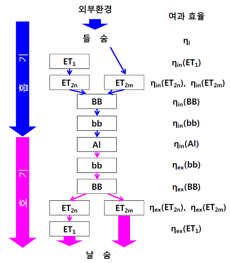 ICRP-66의 입자 침착모델