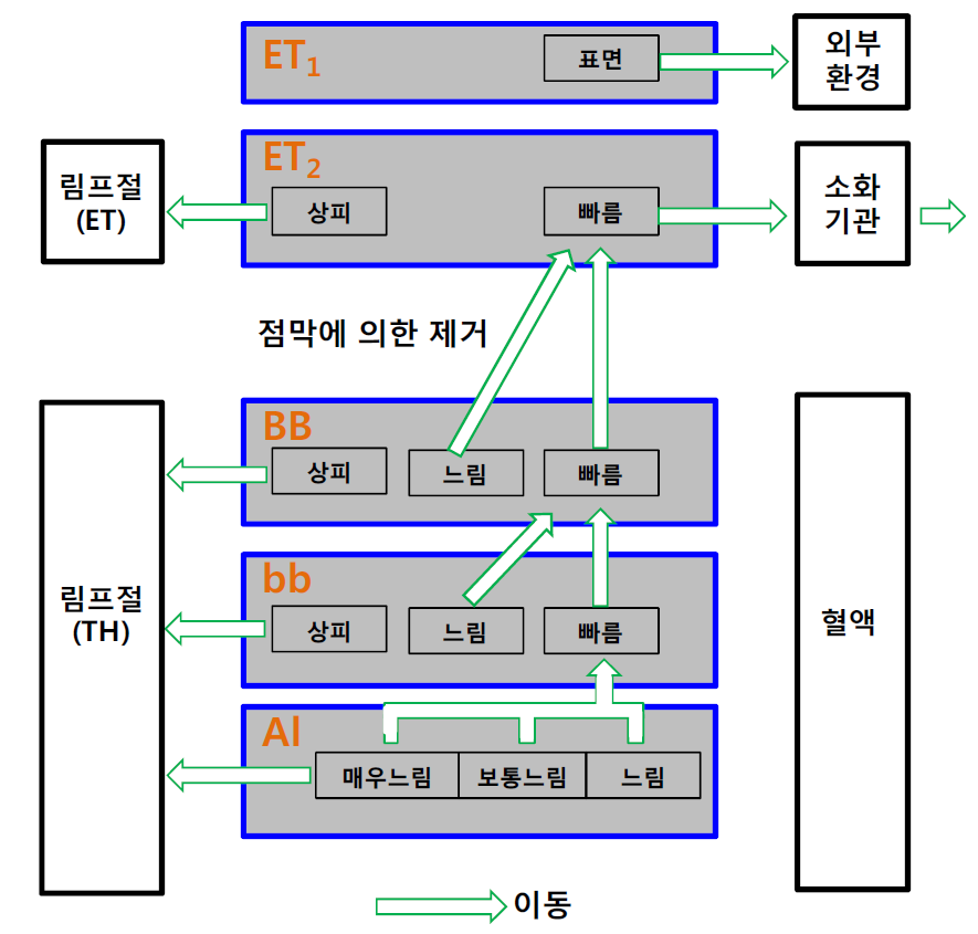 호흡기내에서 시간에 따른 입자의 이동률