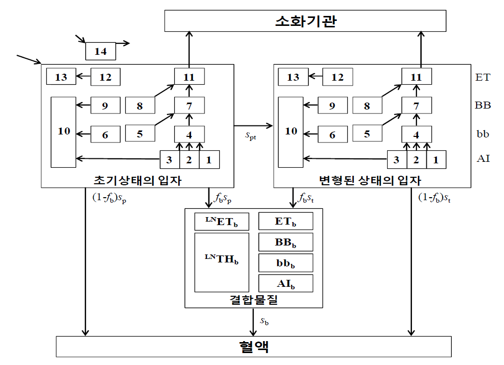 시간에 따른 입자의 이동과 혈액으로의 흡수를 포함하는 전체적인 호흡기 제거 격실 모델