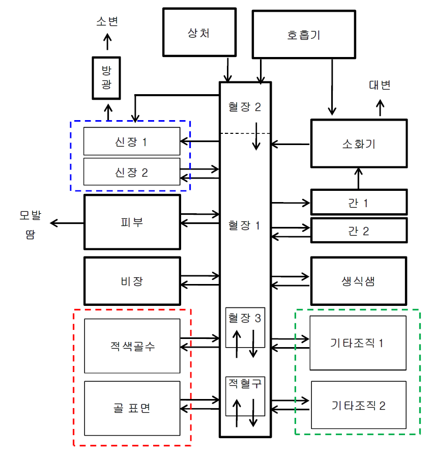 폴로늄 핵종의 생체역학모델