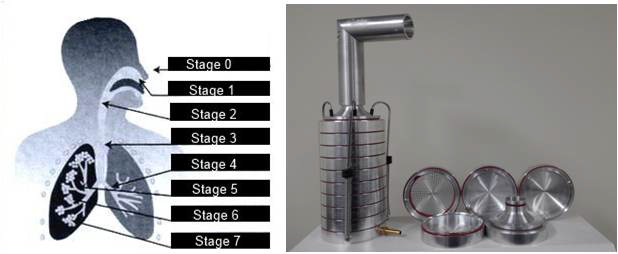 다단계 입자 채집기 및 채집기의 단계 별 인체 호흡계통