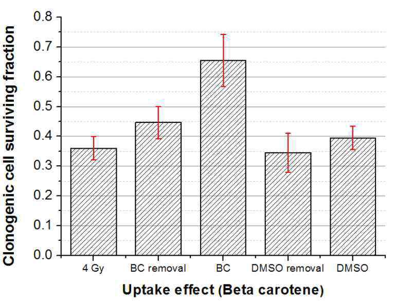 항산화제의 세포 내 흡수효과. 4 Gy는 대조군, ‘BC removal’ 은 방사선 조사 직전 beta-carotene 제거, ‘BC’ 는 방사선 조사 후 beta-carotene 제거, 동일한 조건으로 DMSO 에 대한 실험을 반복함.