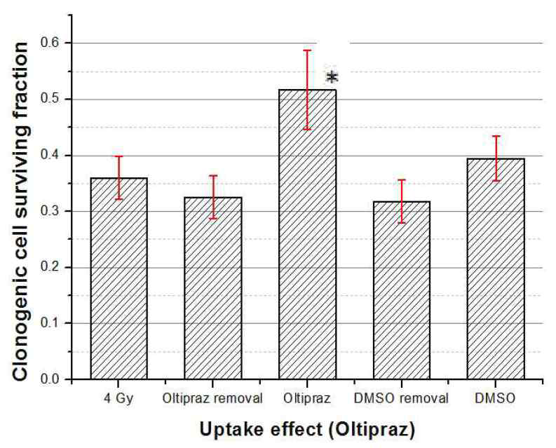 항산화제의 세포 내 흡수효과. 4 Gy는 대조군, ‘oltipraz removal’ 은 방사선 조사 직전 oltipraz 제거, ‘oltipraz’ 그래프는 방사선 조사 후 oltipraz 제거하고 동일한 조건으로 DMSO 에 대한 실험을 반복함