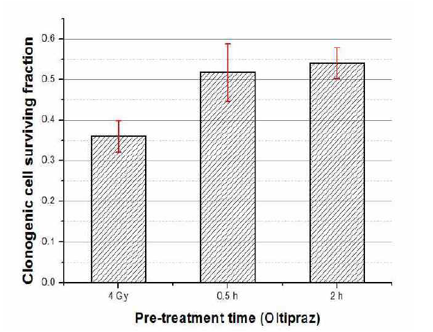 항산화제 oltipraz의 전처리 시간 변화에 대한 방사선 방호 효과