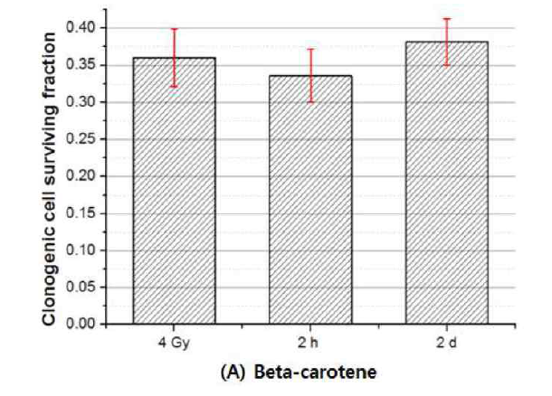 항산화제 beta-carotene의 후처리 시간 변화에 대한 방사선 방호 효과