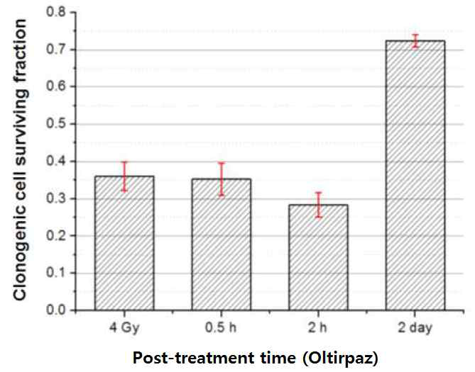 항산화제 oltipraz의 전처리 시간 변화에 대한 방사선 방호 효과