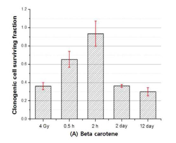 항산화제 beta-carotene의 최적의 처리 조건 실험