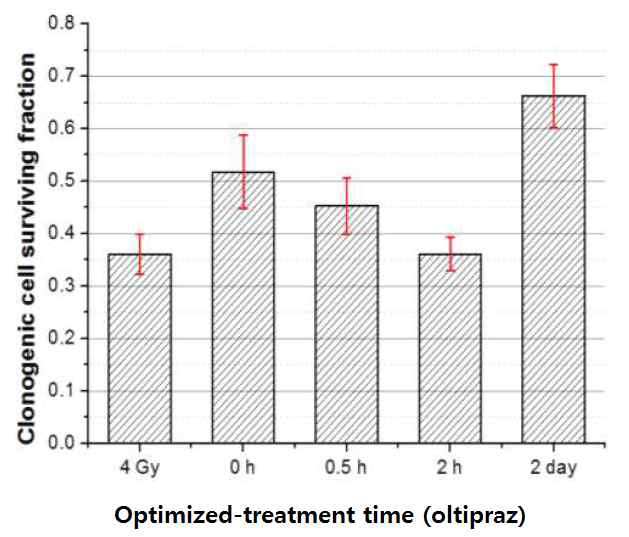 항산화제 oltipraz의 처리 시간 조합에 대한 방사선 방호 효과