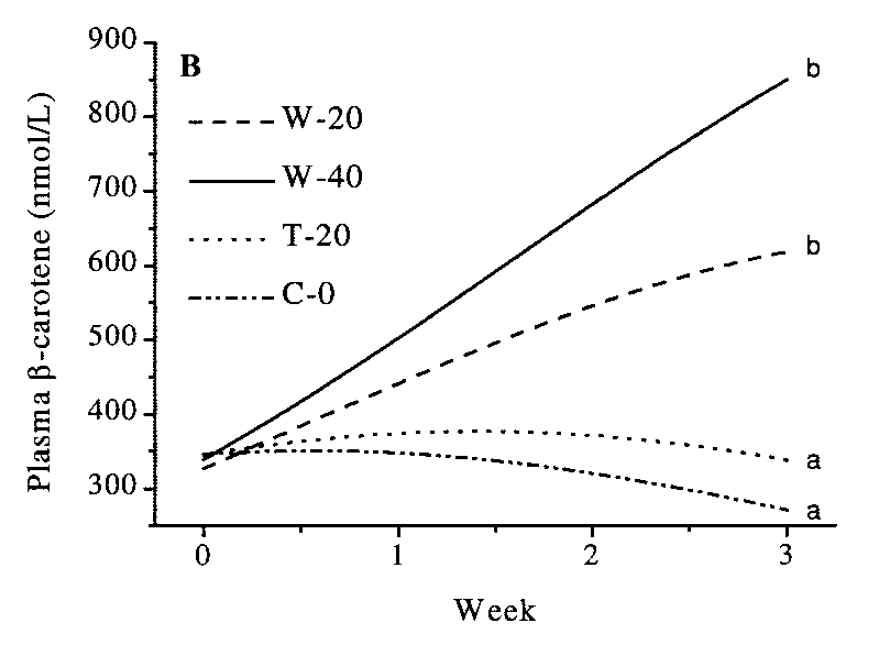 3주동안 음식물 섭취에 따른 베타카로틴의 혈중 농도 변화