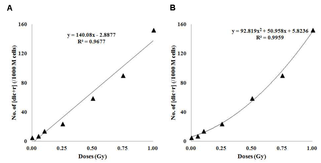 저선량 방사선 구간에서 G- banding법을 이용한 불안정형 염색체 이상. 이동원염색체 및 링 염색체 수의 합과의 상관관계. A ) L inear regression, B) L inear- Quadratic regression.