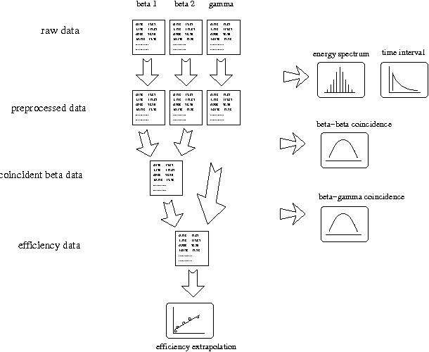 Procedure of offline data analysis for the activity measurement.