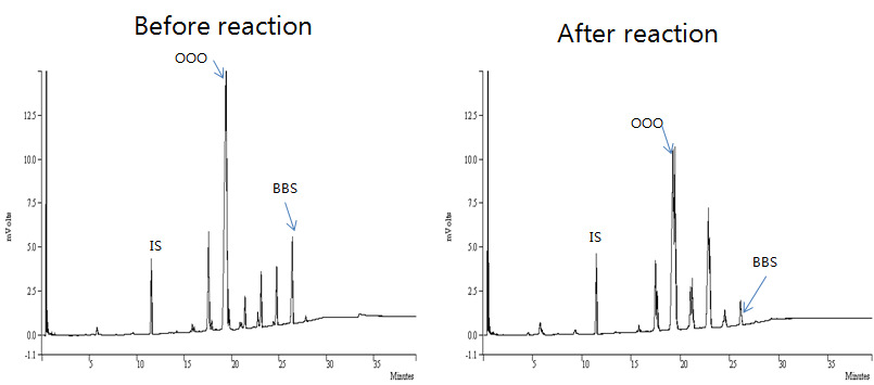 GC chromatograms of interesterified products prepared using 70 wt% high oleic sunflower oil and 30 wt% fully hydrogenated rapeseed oil