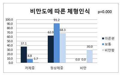 비만도에 따른 체형 인식