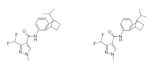 syn-isomer (SYN 534969), anti-isomer (SYN 534968)의 구조