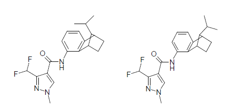 단성분 분석법 IX의 대상 농약인 isopyrazam의 구조