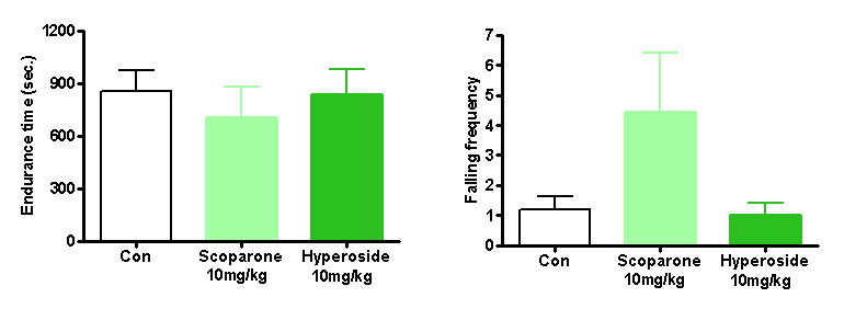 Effects of scoparone and hyperoside on activity on the rotating rod in mice (n=9～ 10). Each bar represents the mean ± S.E.M of the endurance time or falling frequency for 20 minutes.
