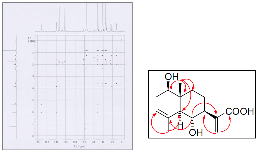 HMBC spectrum of aucklandianol A (left) and selected HMBC coorelation (right).