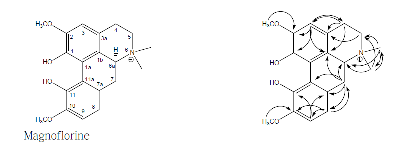 Key HMBC correlations of magnoflorine