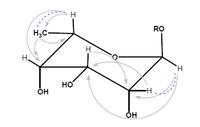 Key correlations of 6-deoxy-α-L-talopyranoside moiety in jujuboside A2