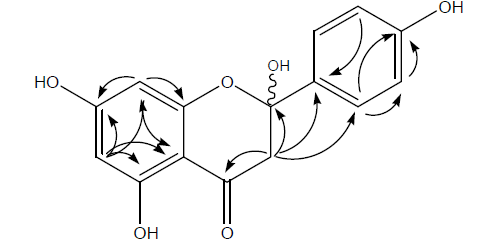 The possible HMBC correlations of 2-hydroxynaringenin